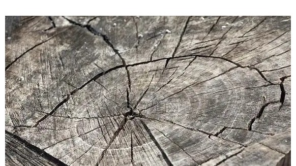 【高定水漆资讯】木头为什么会开裂，开裂了怎么办？
